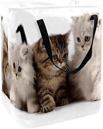 DJROW Възпрепятстват Cool Cats Високо Складное Кофа за дрехи с Дръжки, Сгъваема Кошница за съхранение на Дрехи и играчки