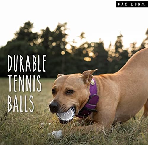 Писклявые Топки за Тенис Rae Dunn за кучета, 4 опаковки, Гумени Играчки за Кучета, Трайни Играчки за малки кученца