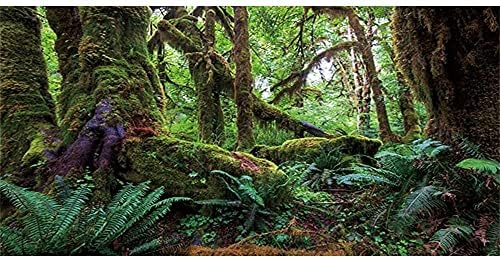 Огромен 48x18 инча Фон на Терариума за Тропическите Гори Зелени Огромно Дърво на Фон на околната Среда на Влечуги