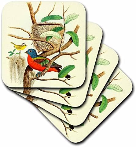 3dRose Ретро Разпечатки с Птици, Боядисани Овесени ядки, Художествена илюстрация с Разноцветни Птици - Влакчета