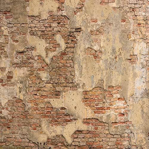 Кейт 10 × 10 метра Кафява Тухлена Фон на Стената Снимка на Ретро Изтъркан Интериора Заден План фотографско студио